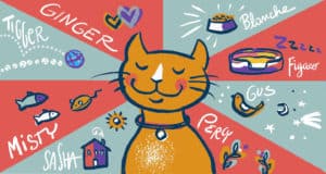 cat not using litter