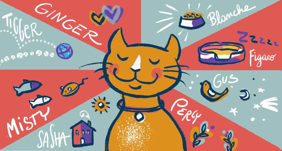 Funny Pet Names 70+ Hilarious Names for Dogs, Cats and Other Pets