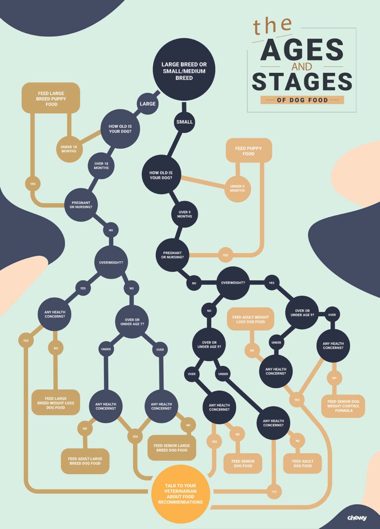 When Should Stop Feeding Puppy Food Hardman Prouthe