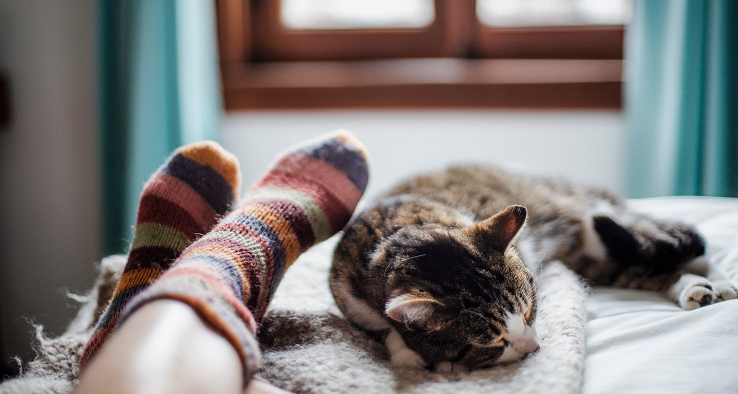 How to Show Your Cat You Love Them