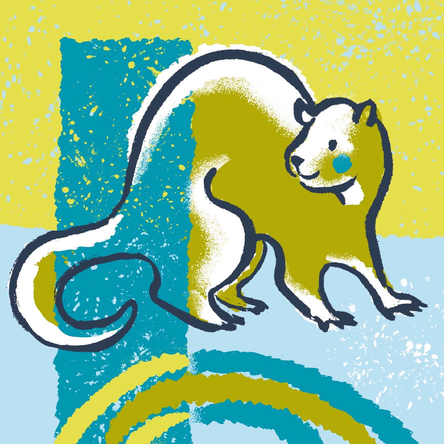 ferret names