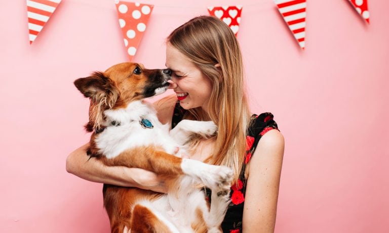 10 Valentine's Day Gifts to Give to the Dogs You Love