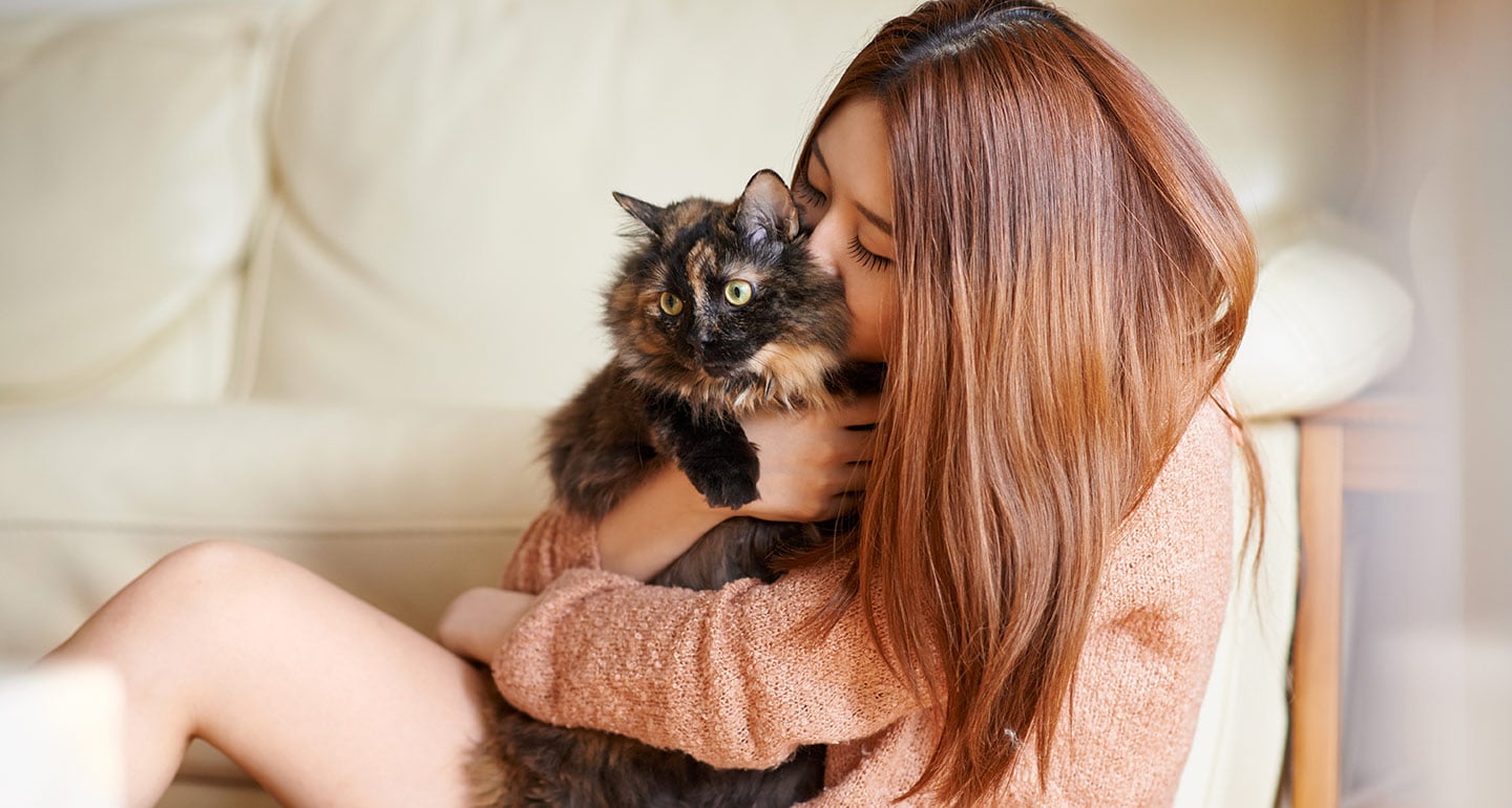 shelter cat iStock.com/jeffbergen