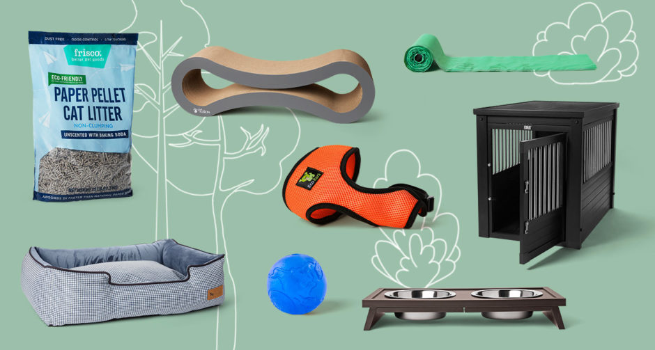 Sustainable Pet Products for Every Room in Your Home BeChewy