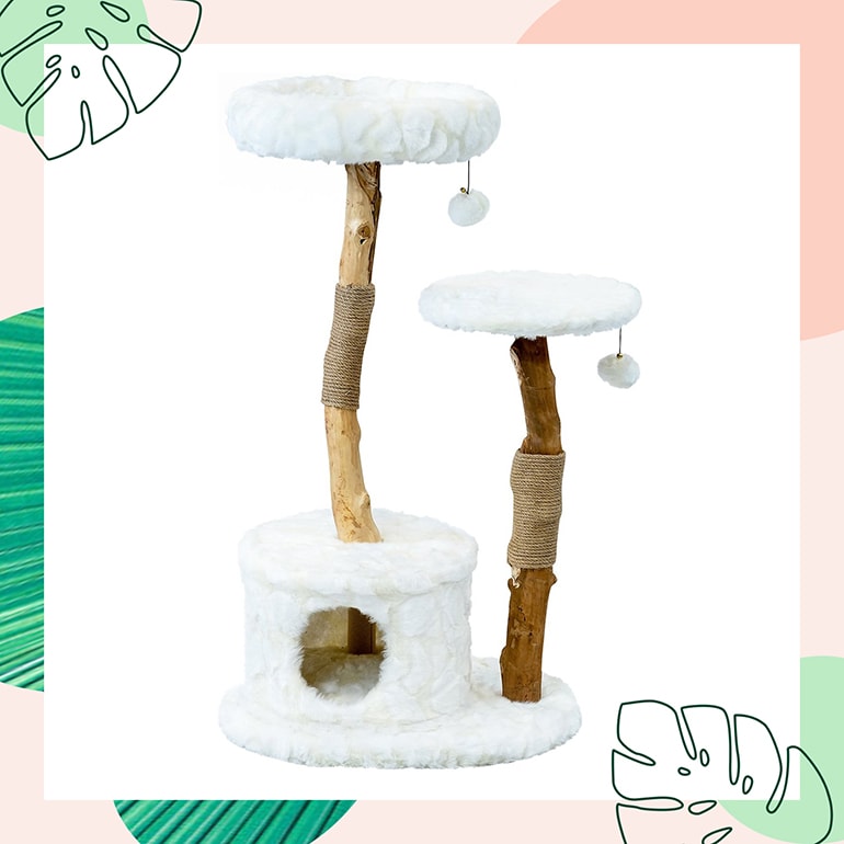 Molly and hotsell me cat tree