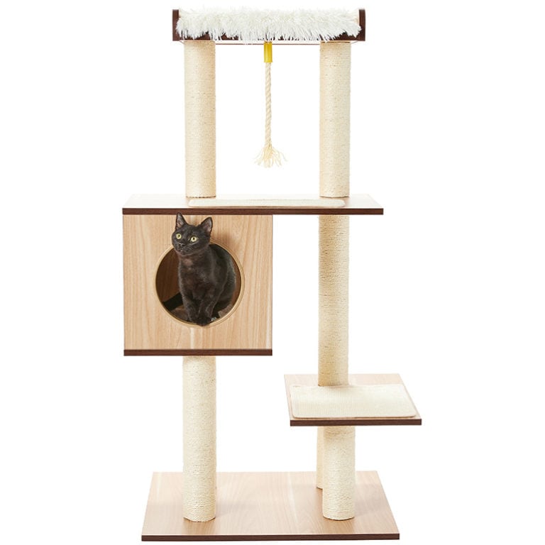 Cat Tree Buying Guide: How to Find the Best Cat Tree for Your Pet | BeChewy