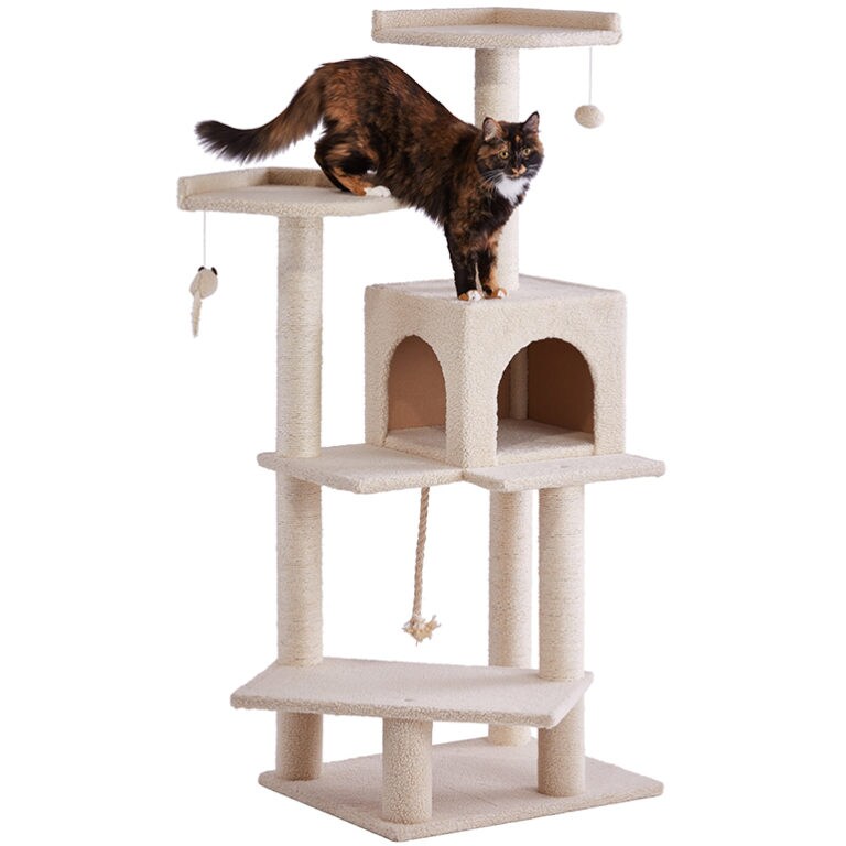 Cat Tree Buying Guide How to Find the Best Cat Tree for Your Pet BeChewy