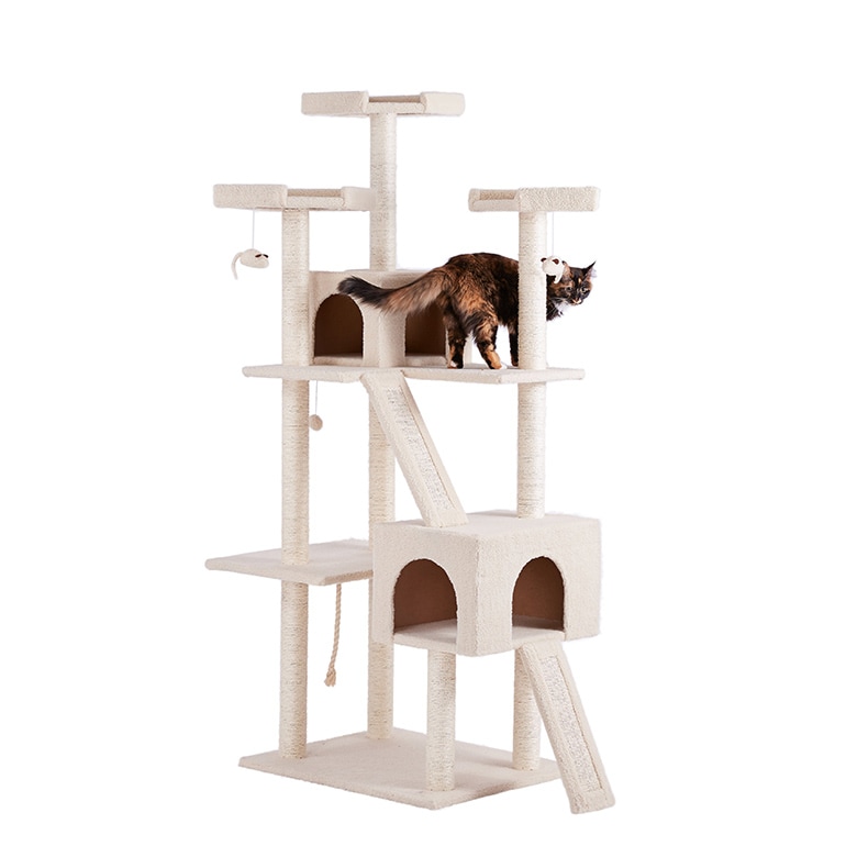 best cat trees