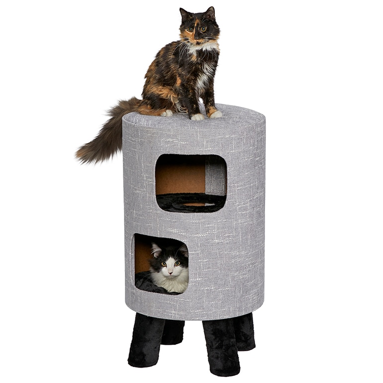 Cat Condo - Discover all the Best Strategies & Tips in the Game