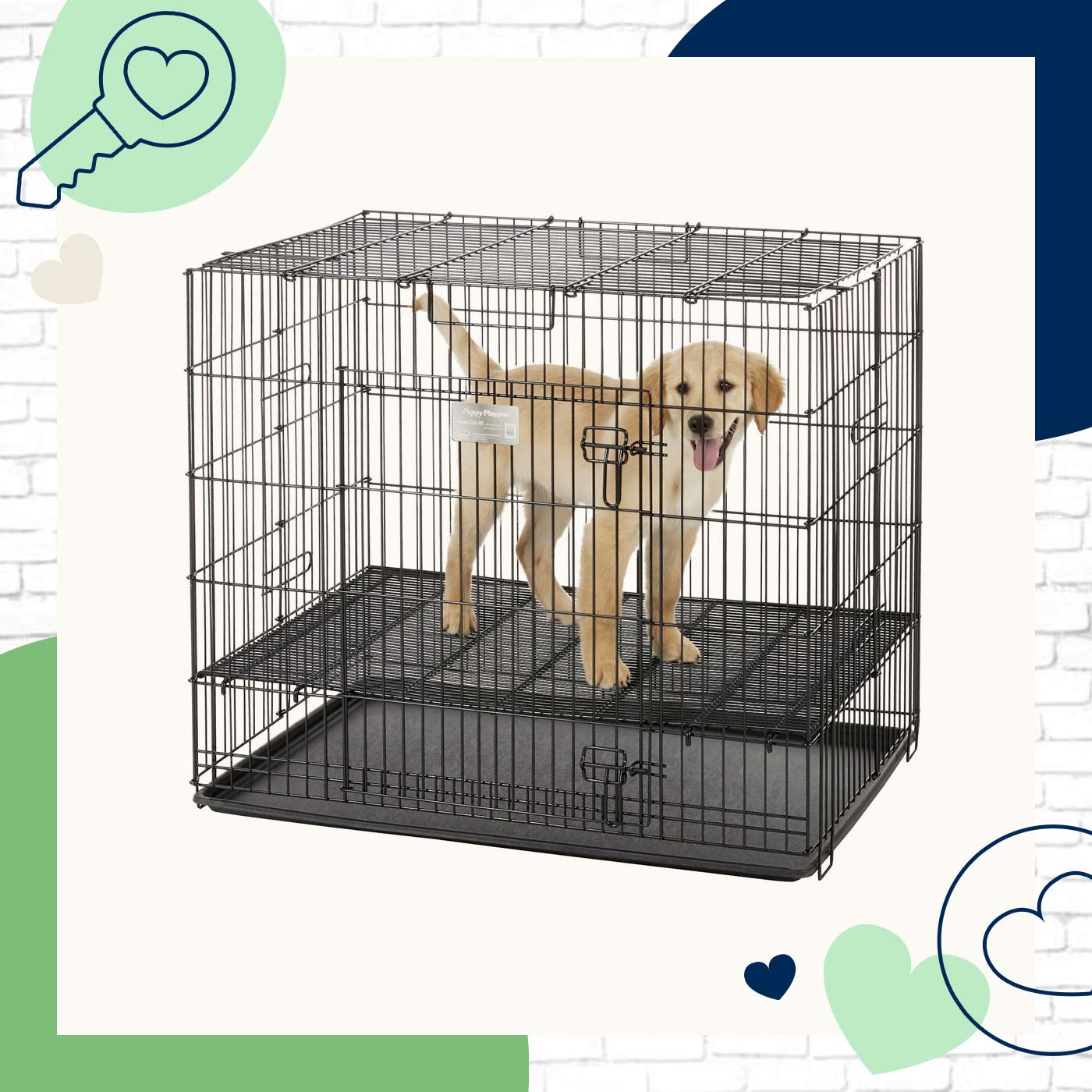 Find the Perfect Dog Crate Size for Effective Training