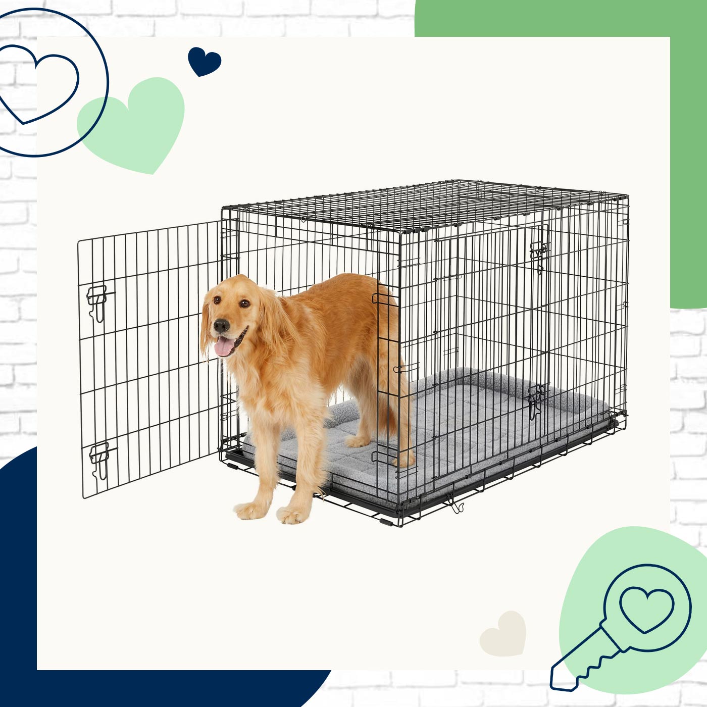 Ultimate List Of Dog Crate Sizes For Every Dog With Crate Size Chart 