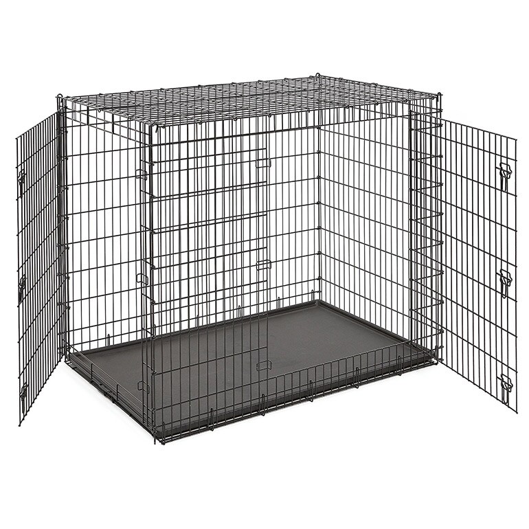 How to Choose the Perfect Dog Crate BeChewy Buying Guide
