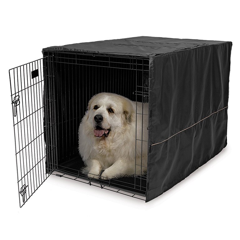 How to Choose the Perfect Dog Crate BeChewy Buying Guide