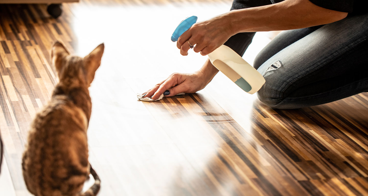 pet safe cleaning products