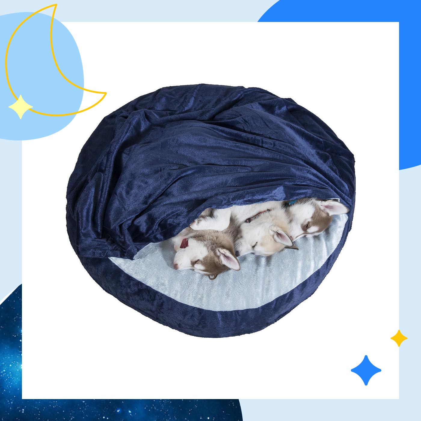 What Is The Best Dog Bed A Buying Guide by PetCentral BeChewy