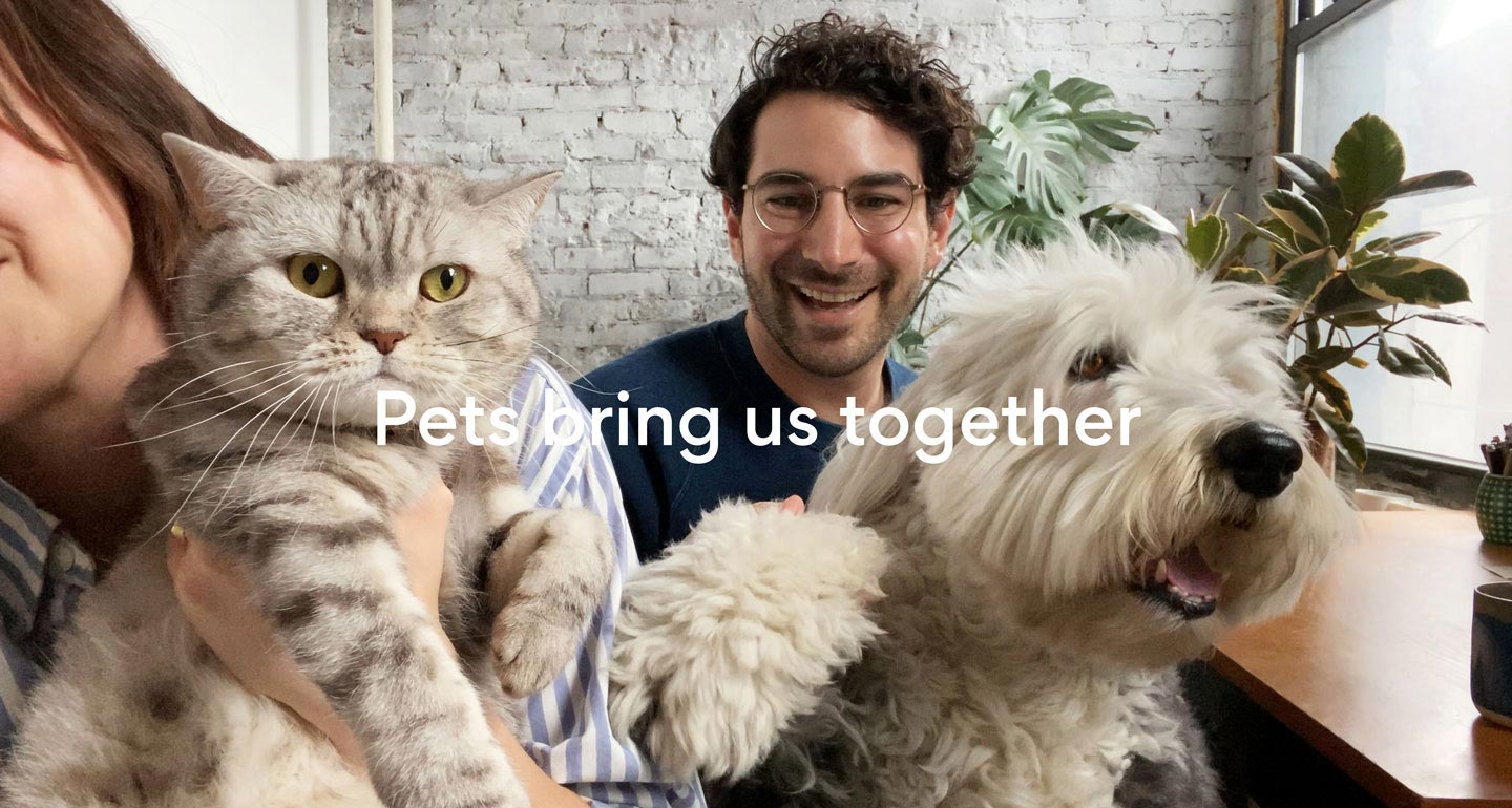 Pets bring us together