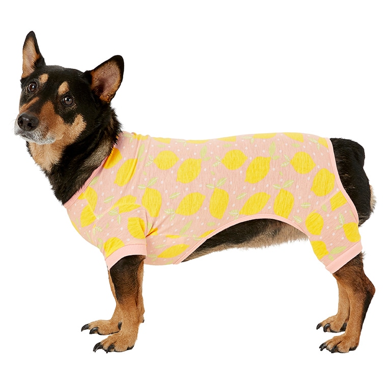 Best Loungewear