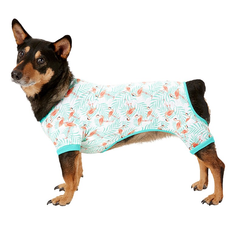 Best Loungewear
