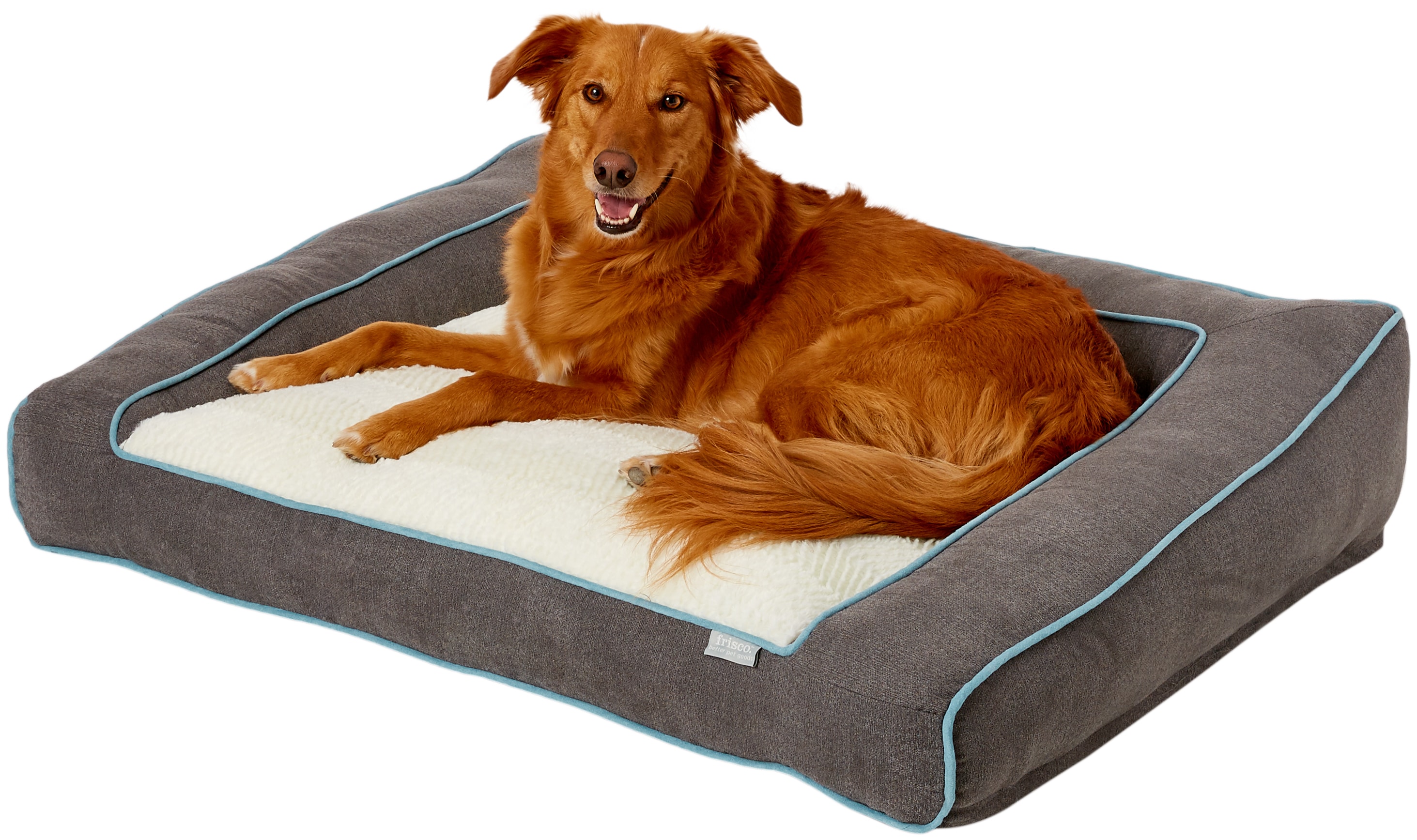 whats the best orthopedic dog bed