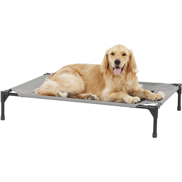 What Is The Best Dog Bed? 