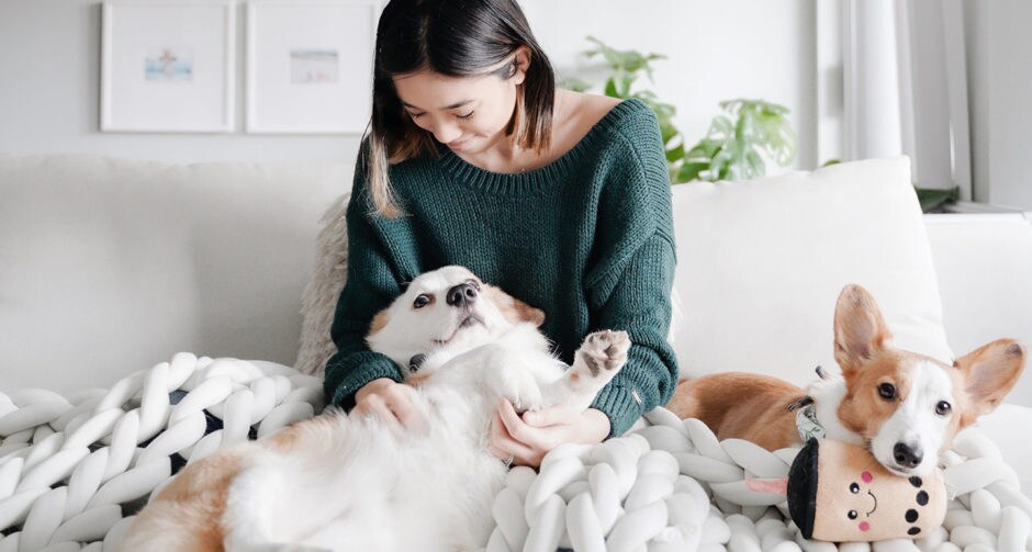 What These InstagramFamous Pets Taught Their Parents During Quarantine