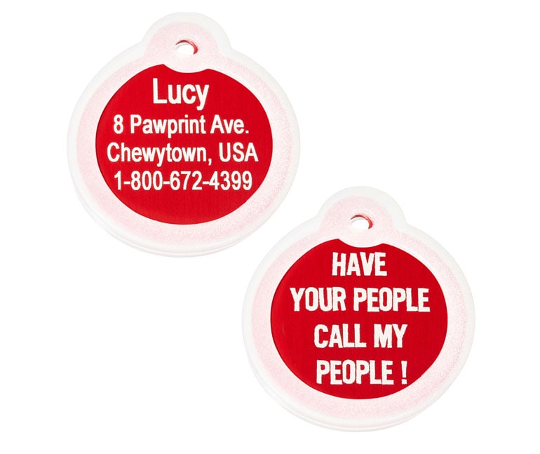 Chewy gift card - dog supplies - pet ID tags