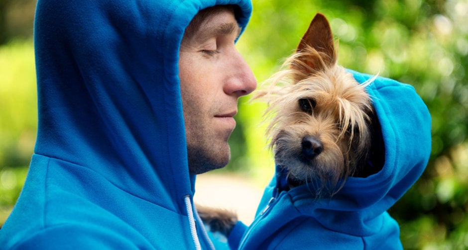 This “What Pet Should I Get?” Quiz Will Pick the Best Animal for You BeChewy