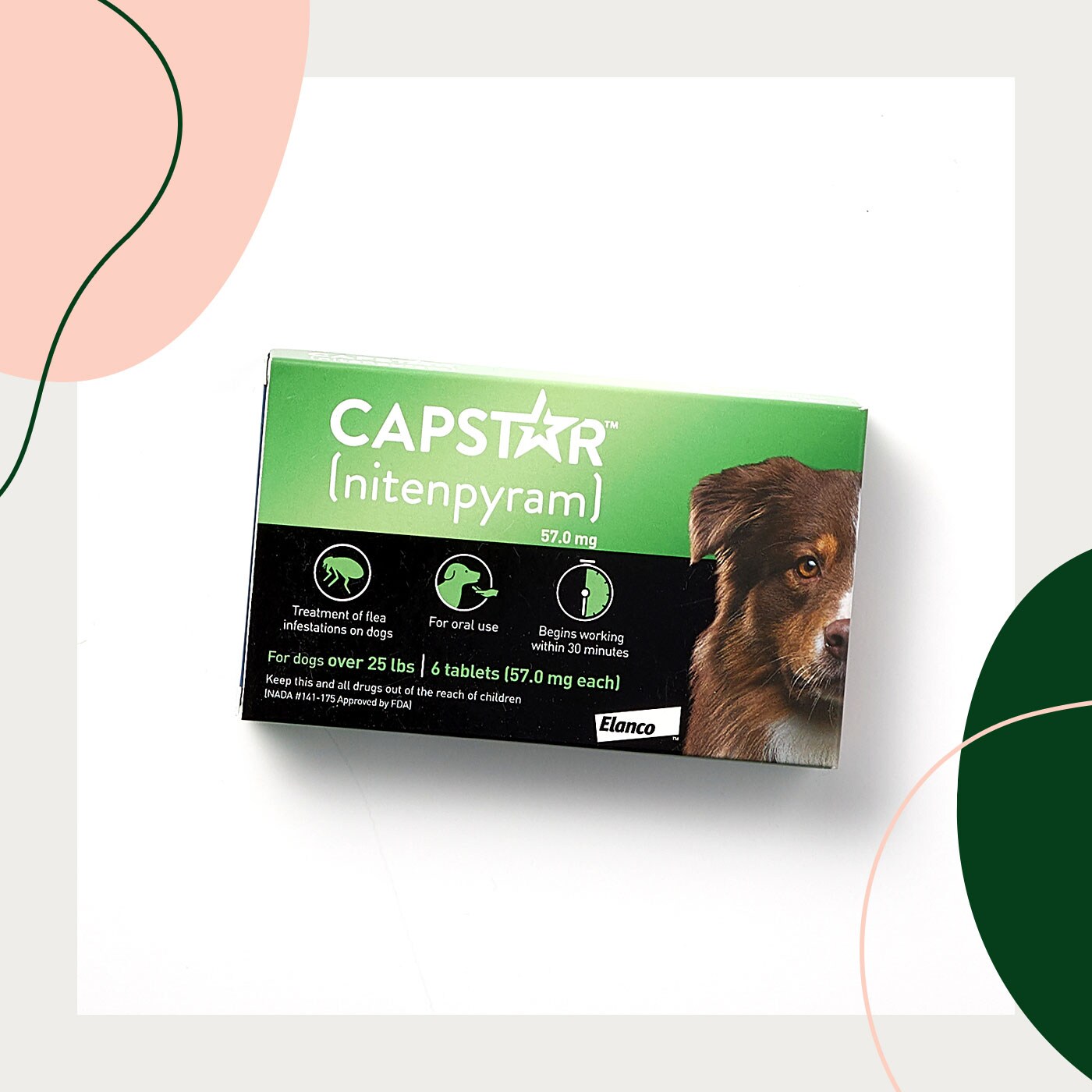 safest and most effective flea and tick treatment for dogs