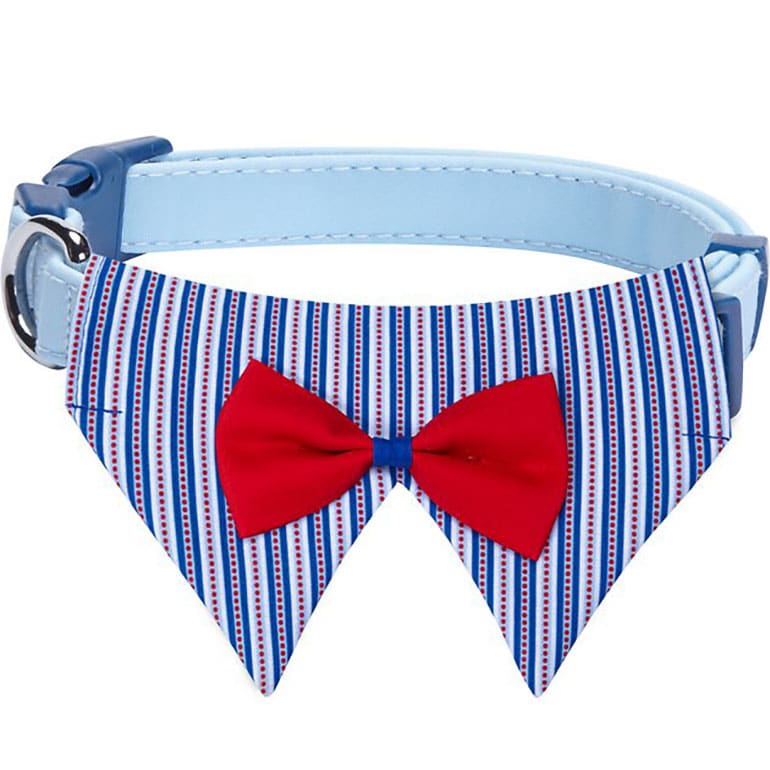 4th of July Dog Outfits - collar