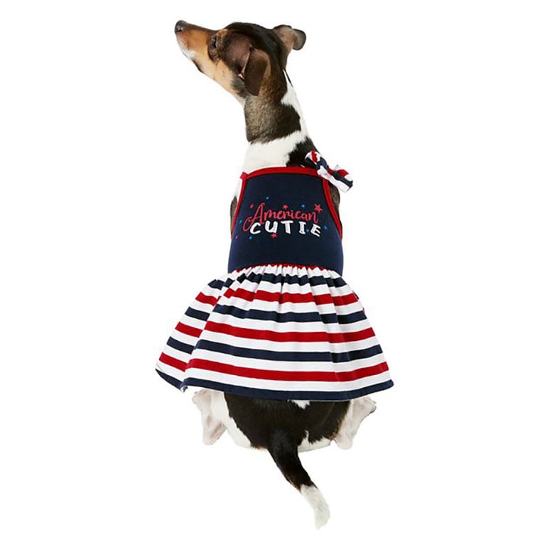 4th of July stars and stripes dress red white and blue stars and stripes 4th of July dog dress cat dress made in the USA ships from the US