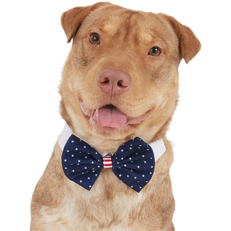4th of July Dog Outfits - bone tee