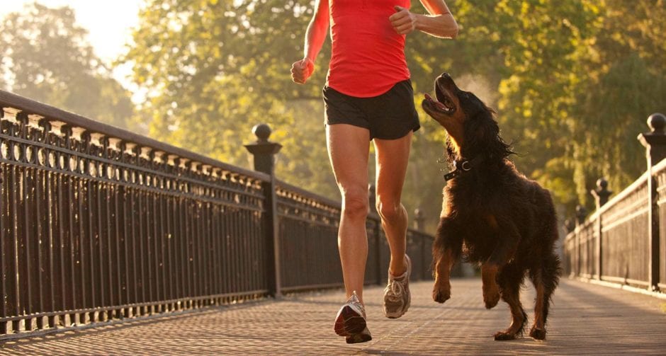 An Easy Exercise Routine You Can Do While Walking Your Dog | BeChewy