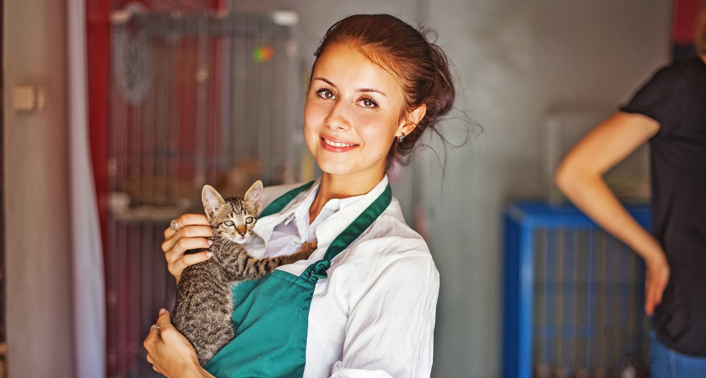 How to Help Animal Shelters During the Busy Summer Season | BeChewy