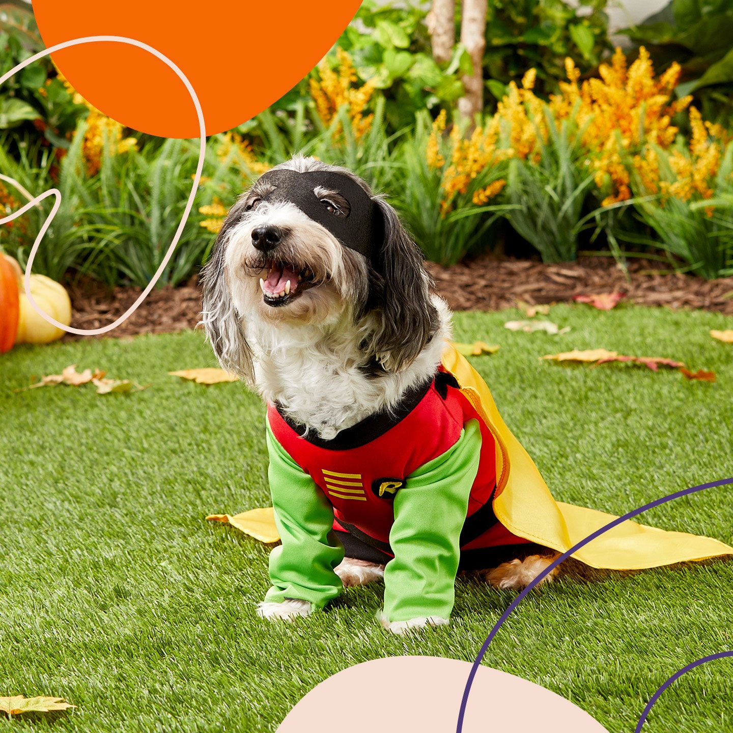 Best Large Dog Halloween Costumes of 2021