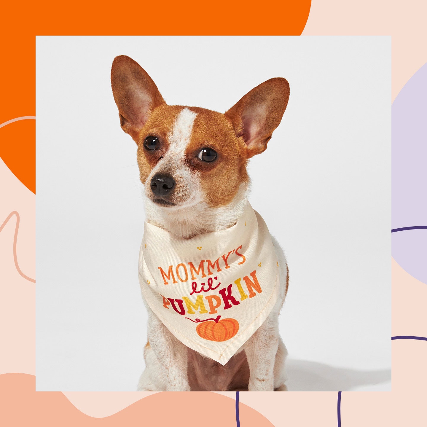 Mommy's little pumpkin dog hot sale bandana