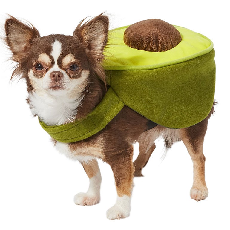 Best Halloween TV and Movie Character Costumes for Dogs BeChewy