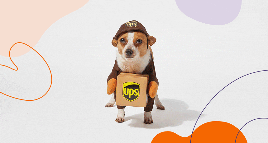 Buying Guide: The Best Dog Halloween Costumes for 2021 | BeChewy
