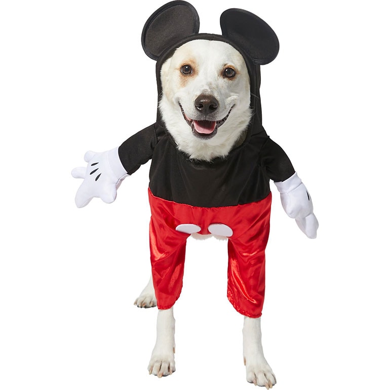 Best Halloween TV and Movie Character Costumes for Dogs BeChewy