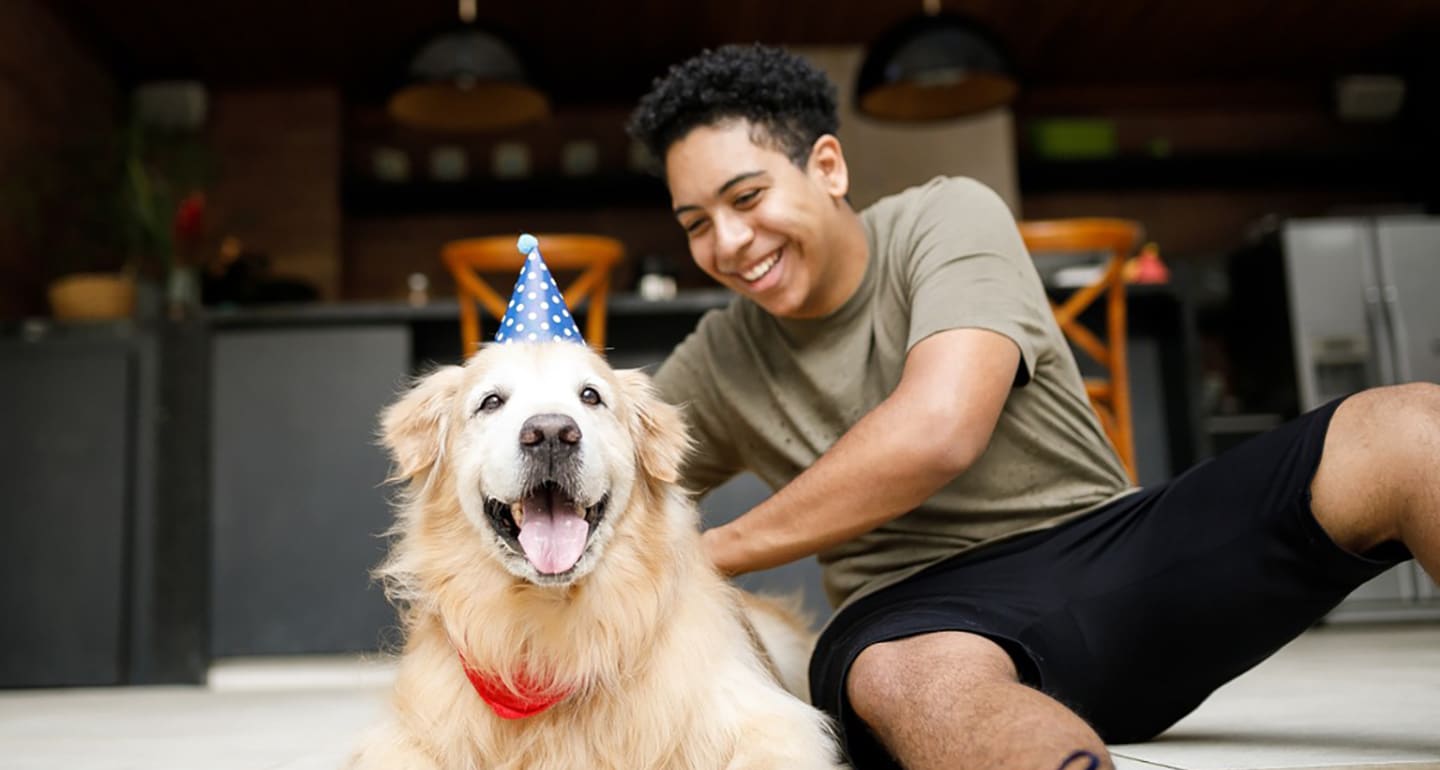 universal shelter pet birthday