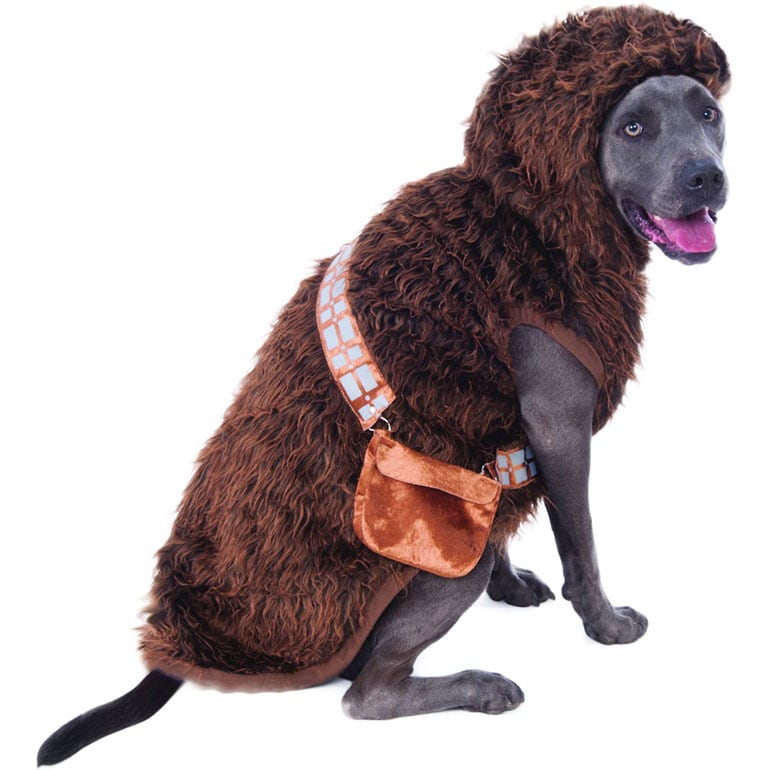 large dog costumes