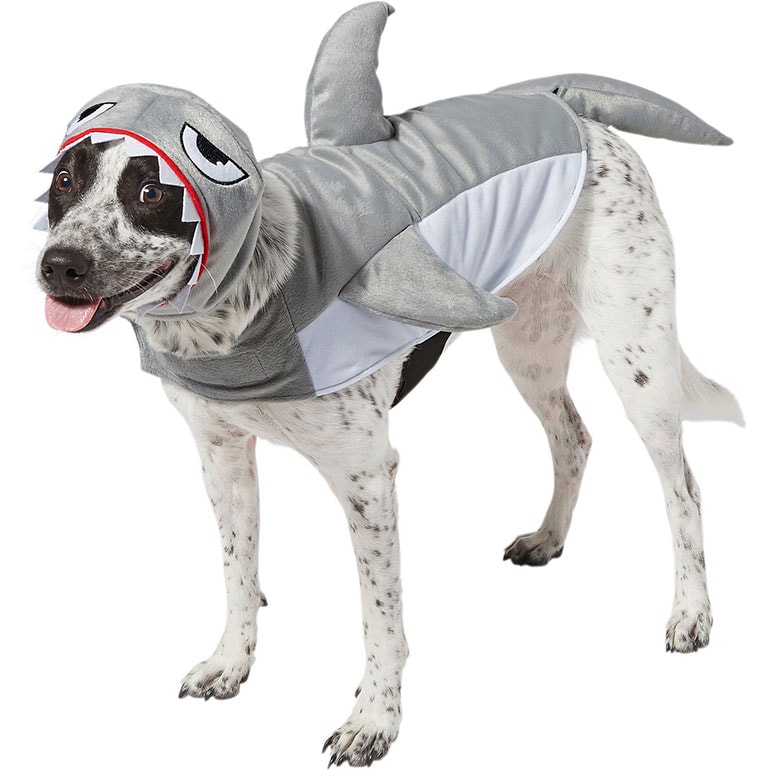 Best Dog Costumes for Large Dogs this Halloween 2023 - Life is ...