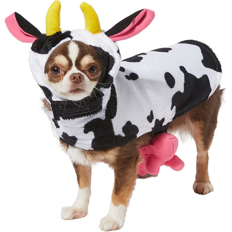 Buying Guide: The Best Dog Halloween Costumes for 2021