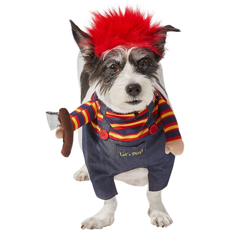 Buying Guide: The Best Dog Halloween Costumes for 2021 | BeChewy