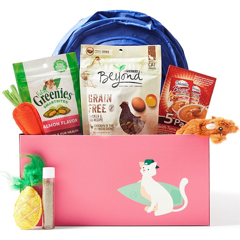 Gifts for cat lovers