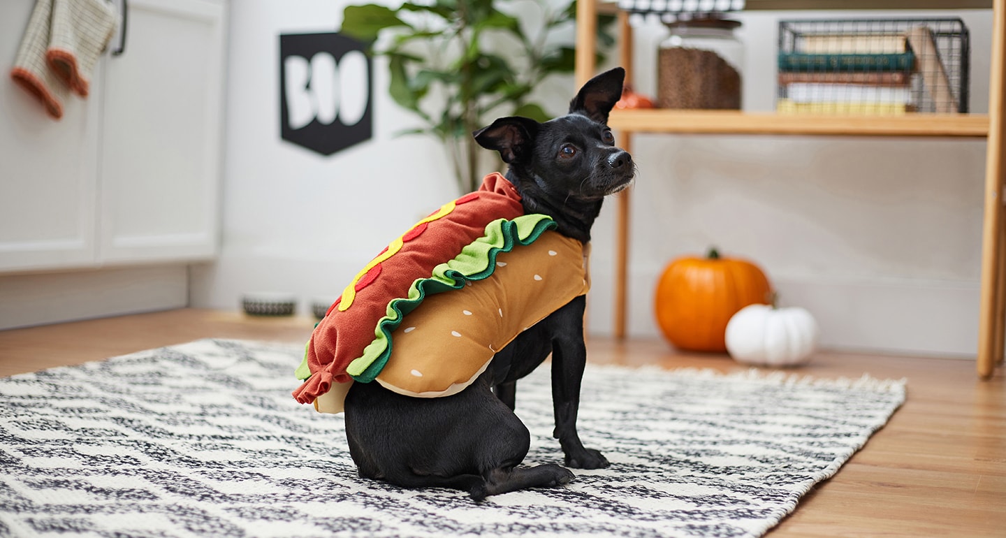 The Best Pet Halloween Costumes, From Cute to Weird to Terrifying
