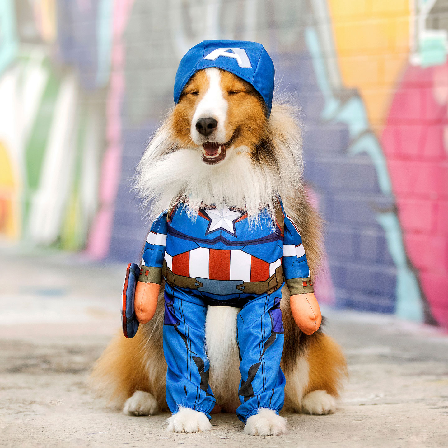 https://media-be.chewy.com/wp-content/uploads/2020/08/14171813/superhero-dog-costume-captain-america.jpg