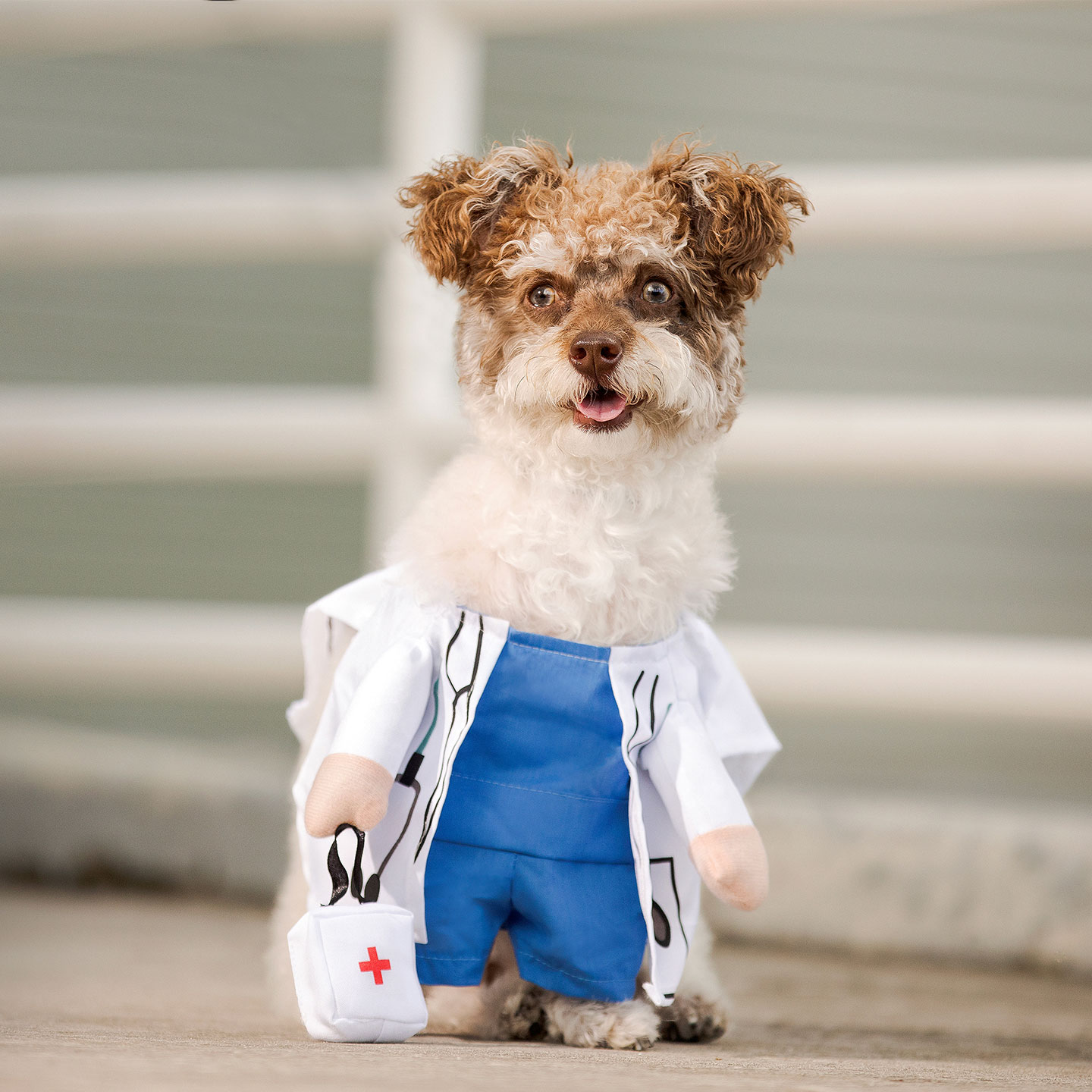superhero dog costume - frontliner -doctor halloween costume