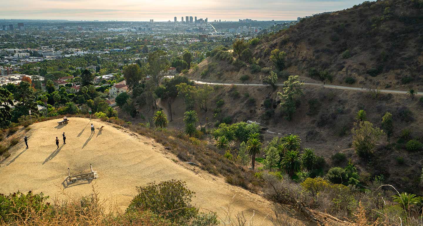 dog-friendly hikes