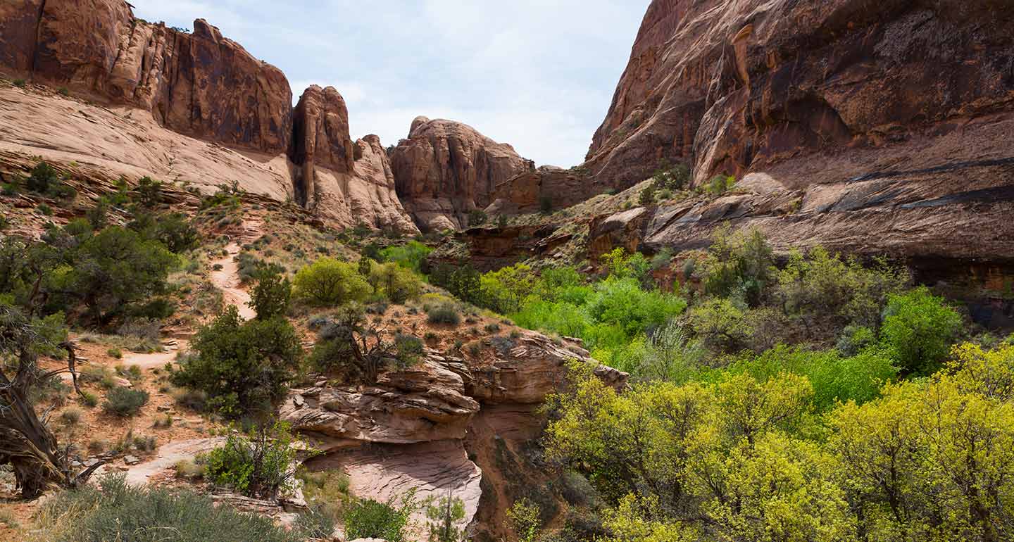 dog-friendly hikes