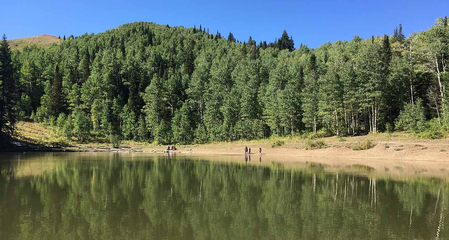 dog-friendly hikes